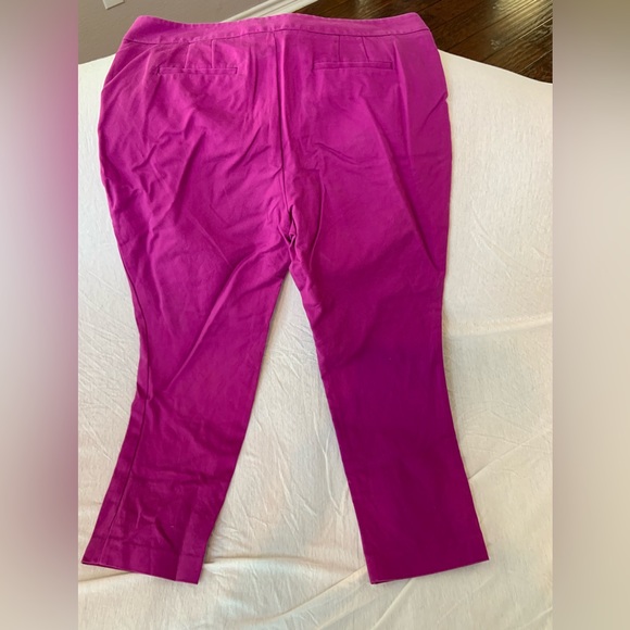 Vince Camuto Magenta Cropped Dress Pant - Picture 4 of 7